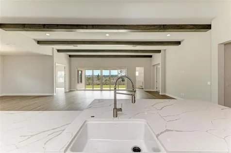 35244 Big Hawk Drive Zephyrhills FL 33541
