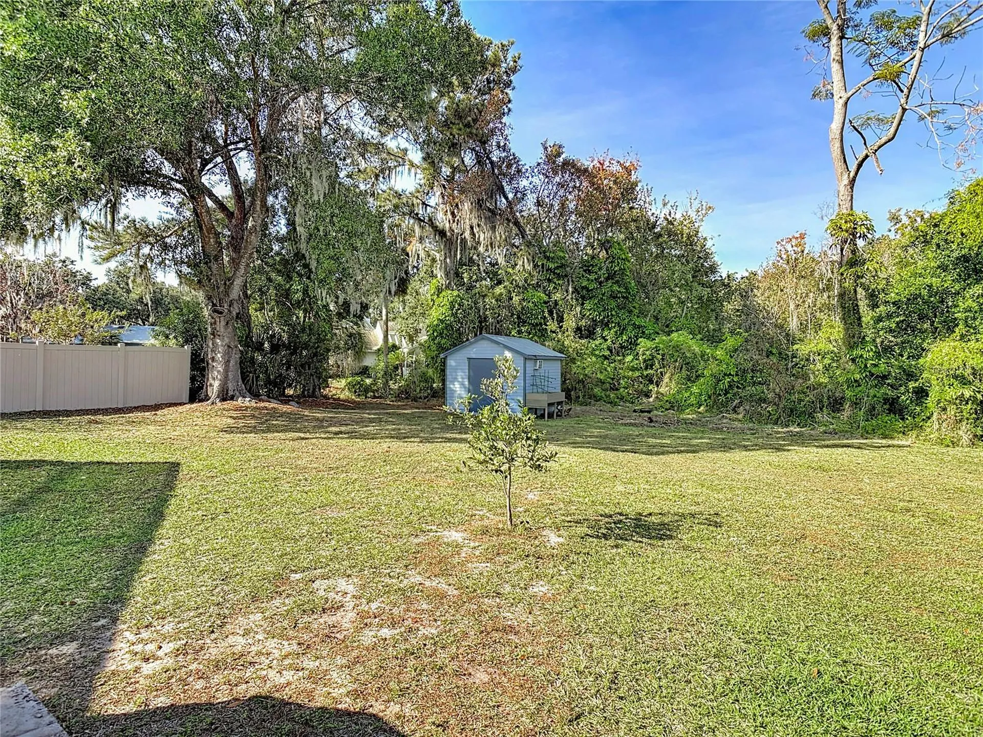 1807 Virginia Court Tavares FL 32778