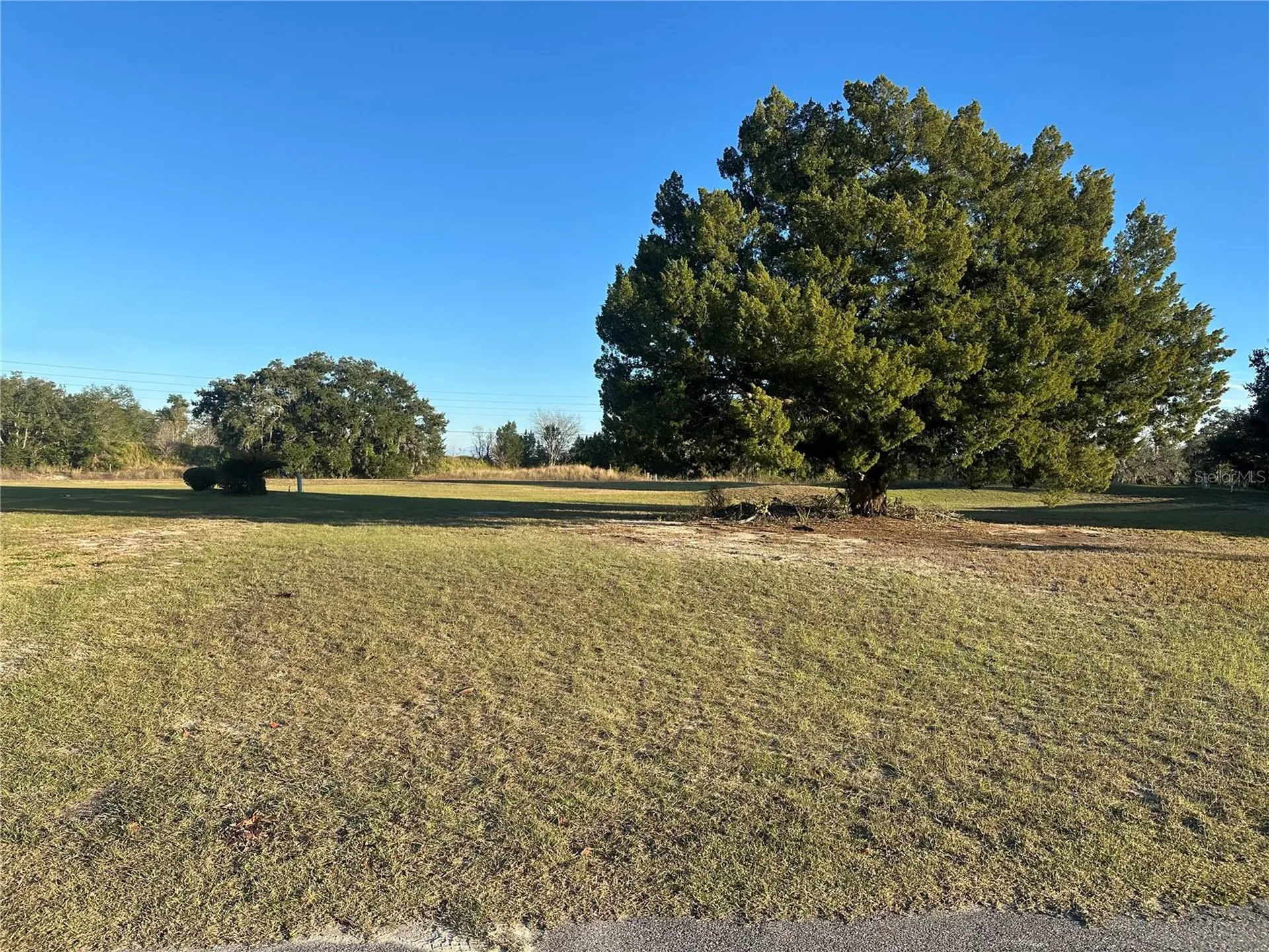 5432 Chestnut Ridge Road Dade City FL 33523