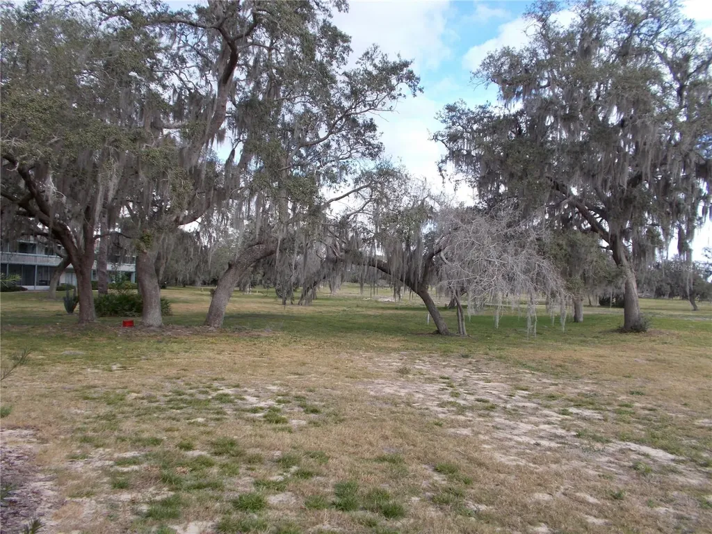 543 Maple Leaf Court Haines City FL 33844