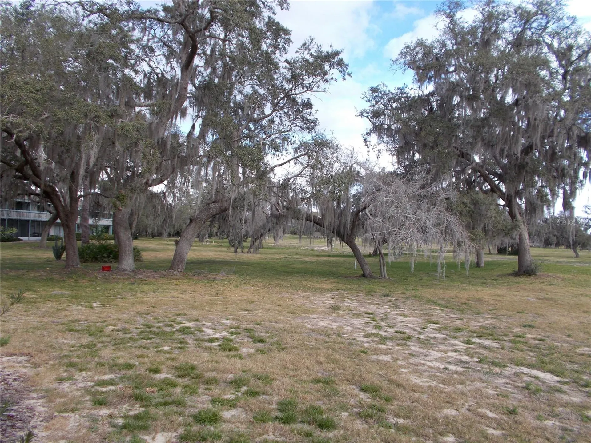 543 Maple Leaf Court Haines City FL 33844