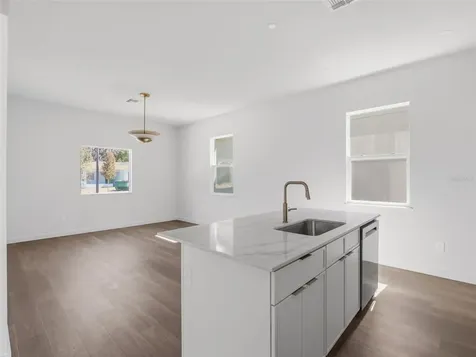 458 Skyfield Court Lady Lake FL 32159
