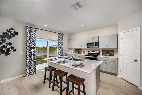 34753 Blossom Fall Path Zephyrhills FL 33541