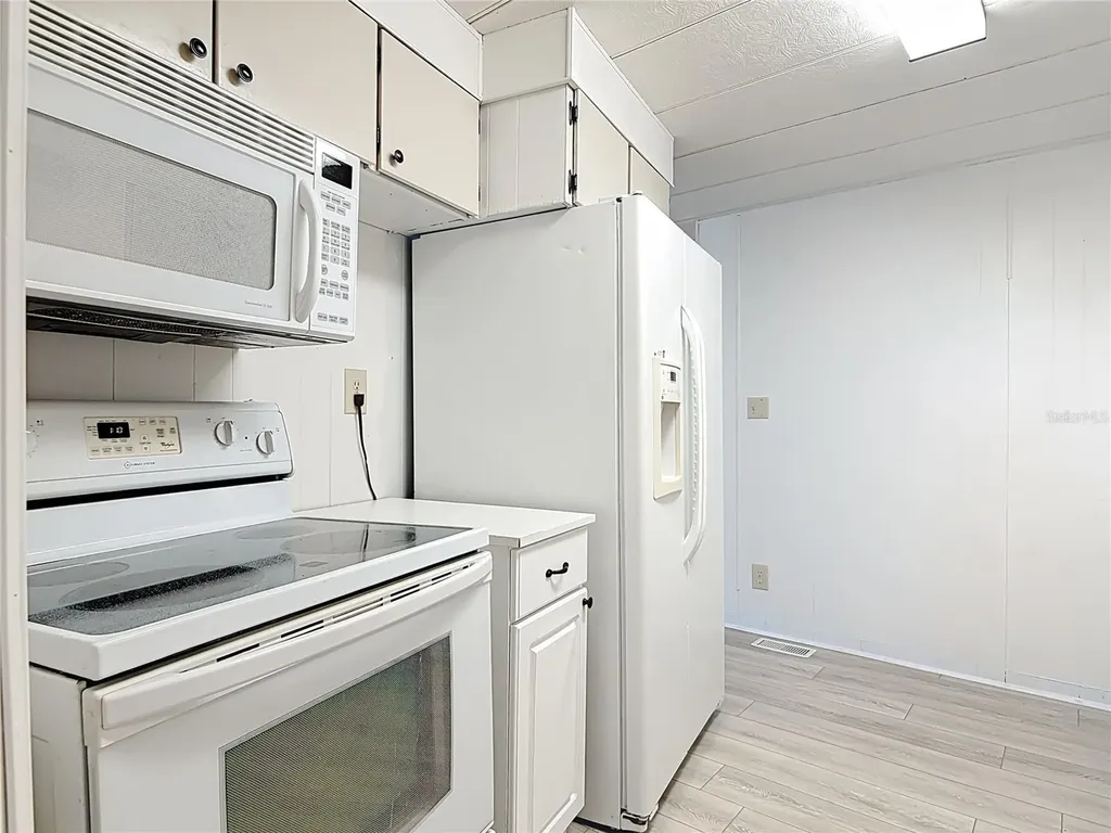 1043 Capella Drive Tavares FL 32778