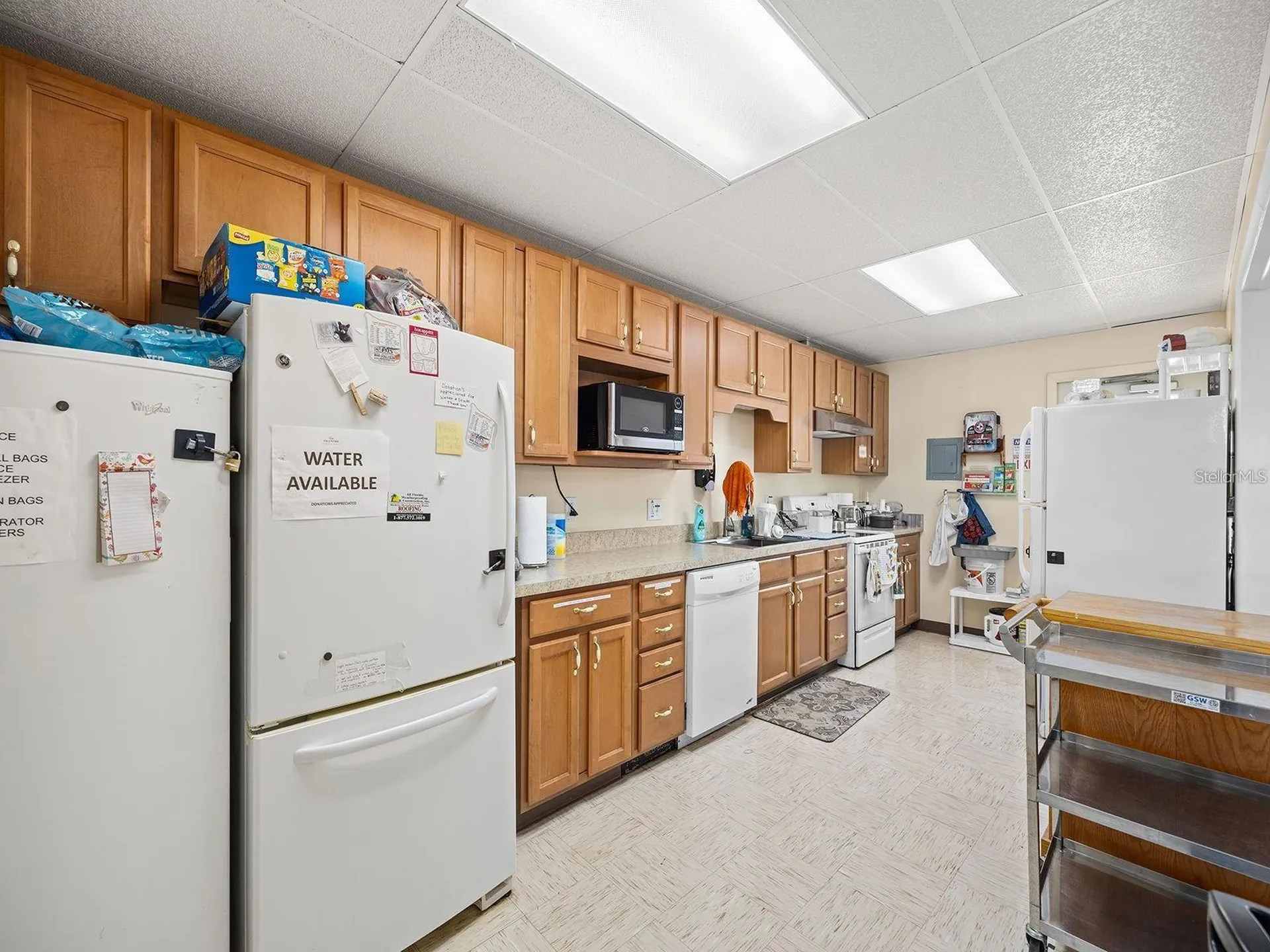 1043 Capella Drive Tavares FL 32778