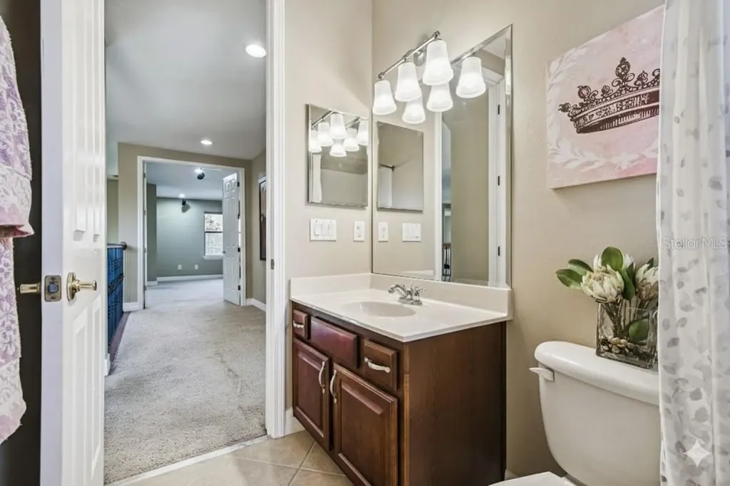 3811 Ivydale Court Land O Lakes FL 34638