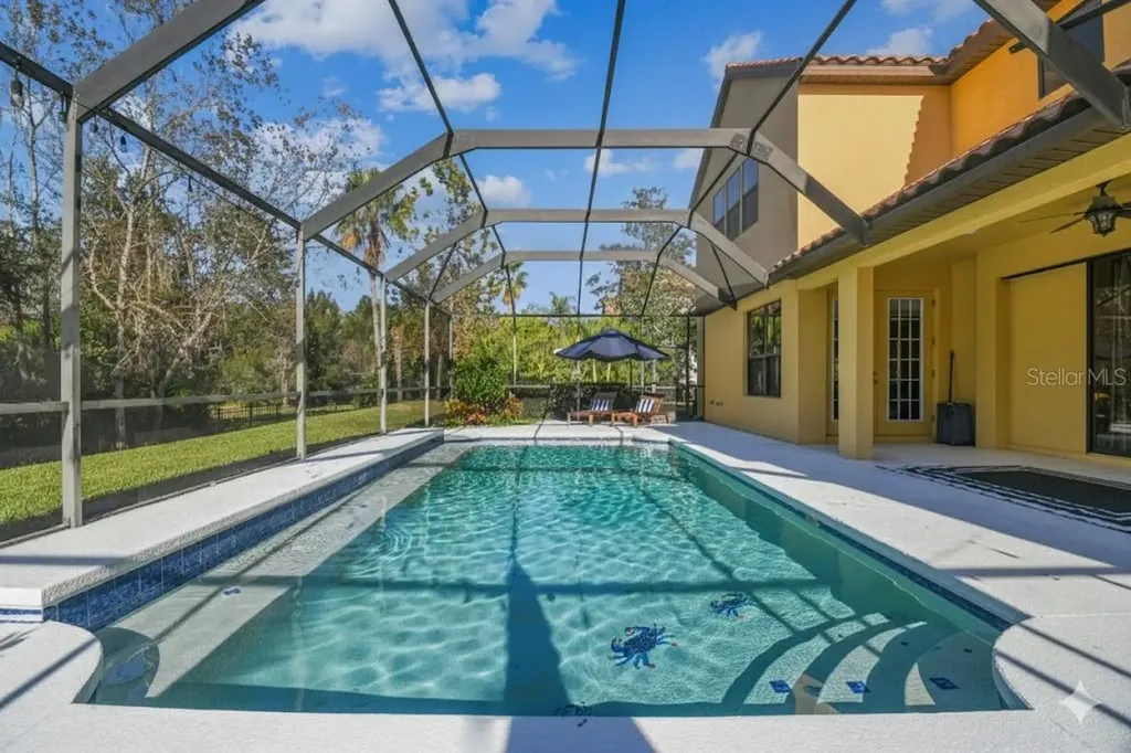 3811 Ivydale Court Land O Lakes FL 34638