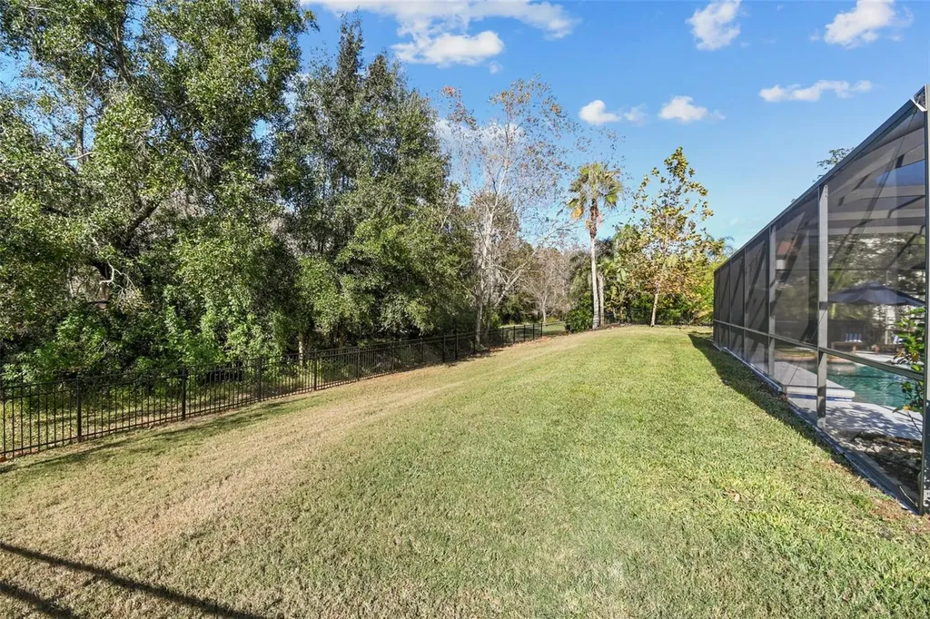 3811 Ivydale Court Land O Lakes FL 34638