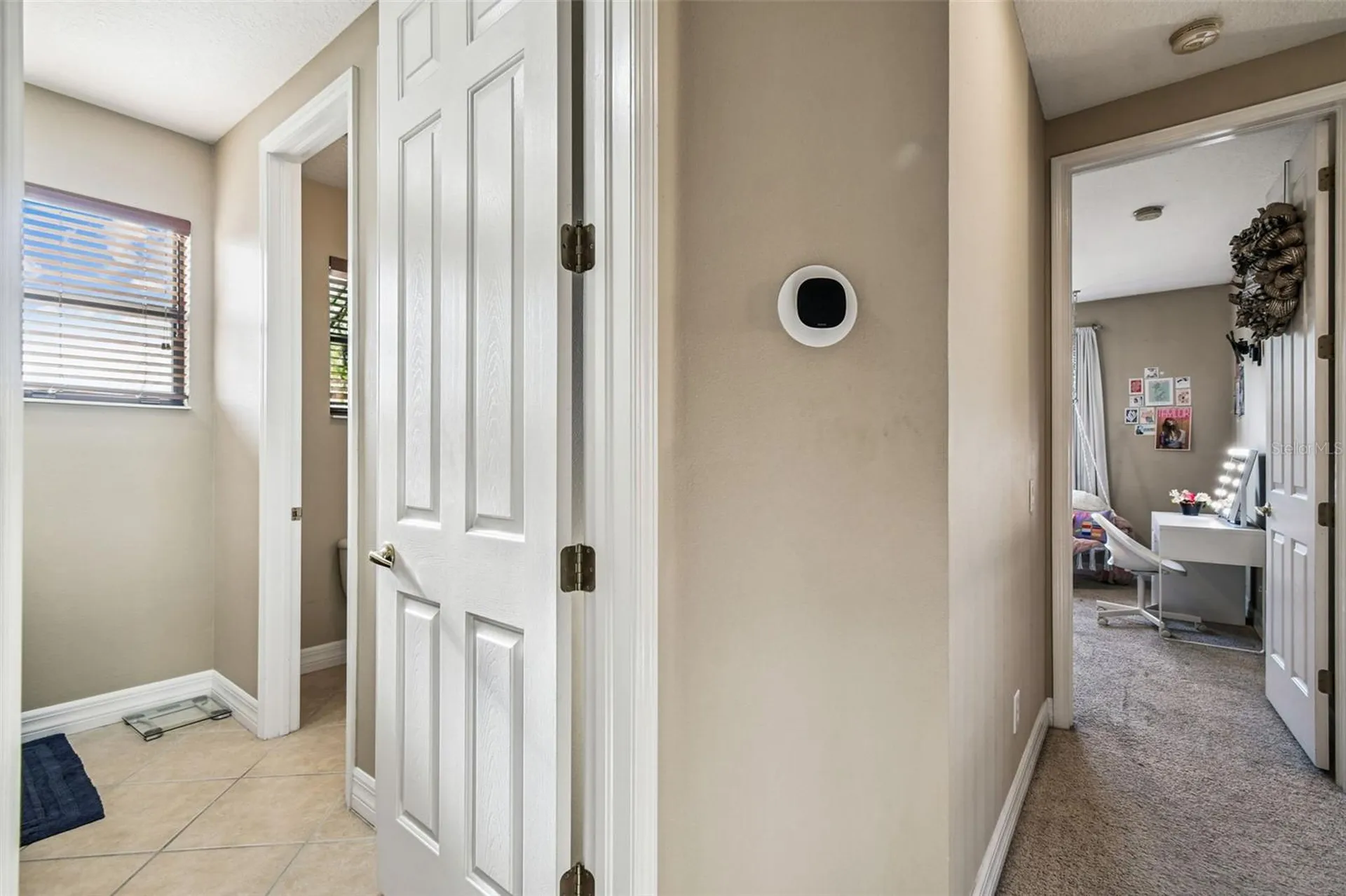 3811 Ivydale Court Land O Lakes FL 34638