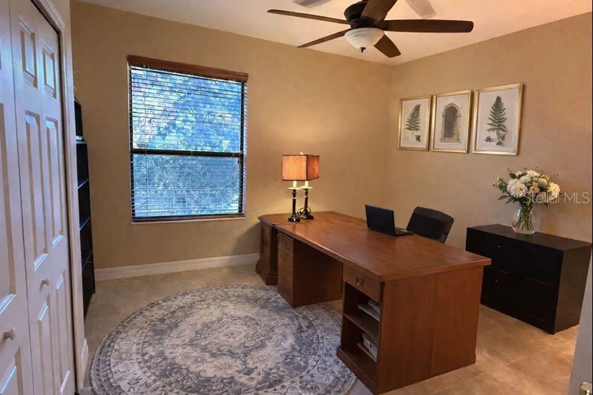 3811 Ivydale Court Land O Lakes FL 34638