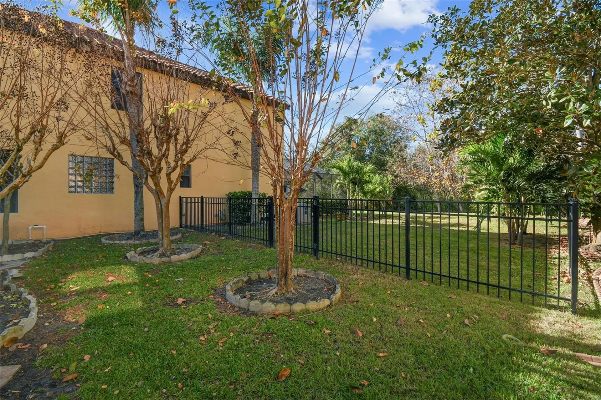 3811 Ivydale Court Land O Lakes FL 34638
