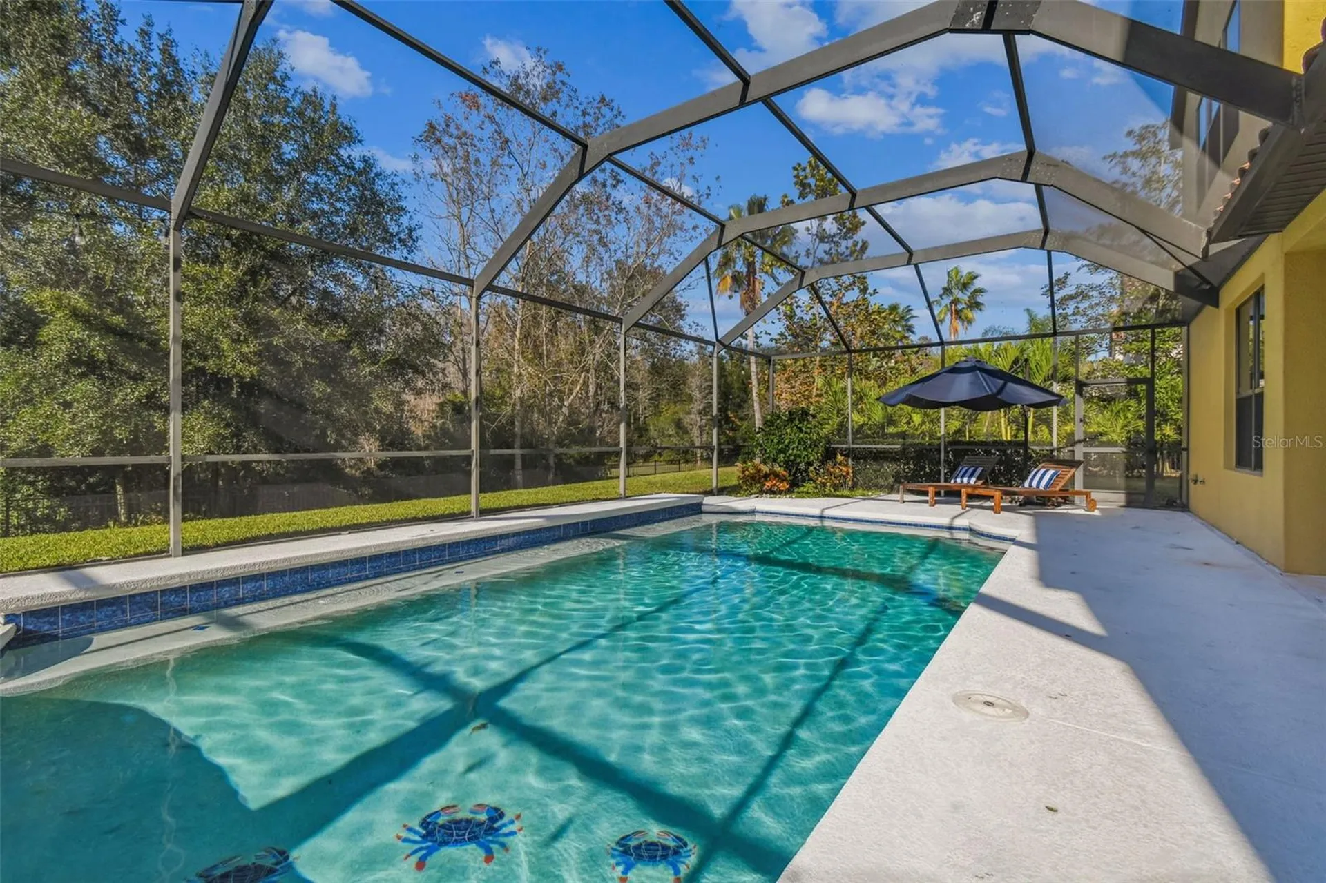3811 Ivydale Court Land O Lakes FL 34638
