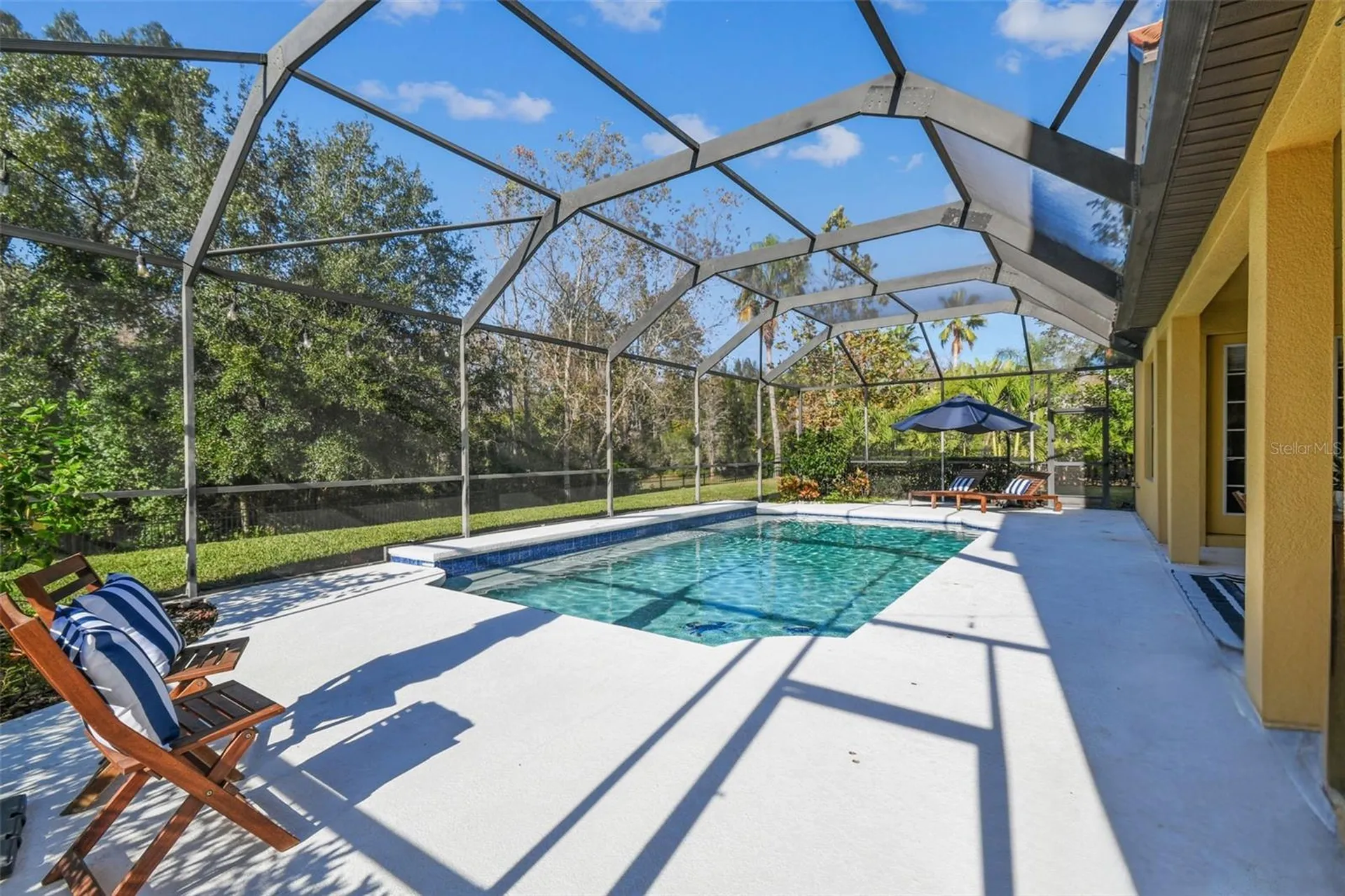 3811 Ivydale Court Land O Lakes FL 34638