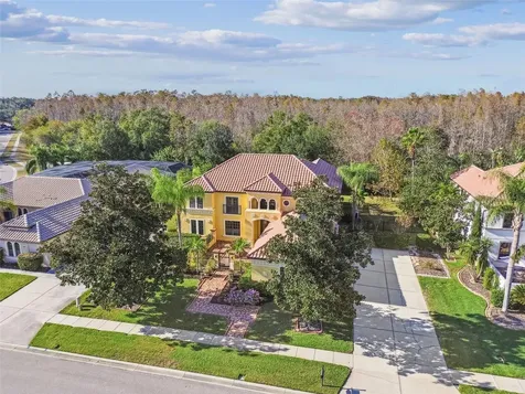 3811 Ivydale Court Land O Lakes FL 34638
