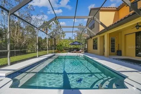 3811 Ivydale Court Land O Lakes FL 34638