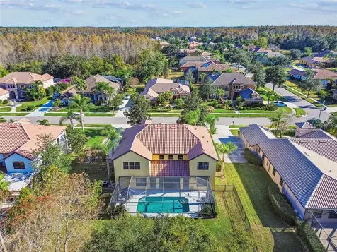3811 Ivydale Court Land O Lakes FL 34638