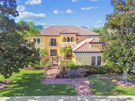 3811 Ivydale Court Land O Lakes FL 34638