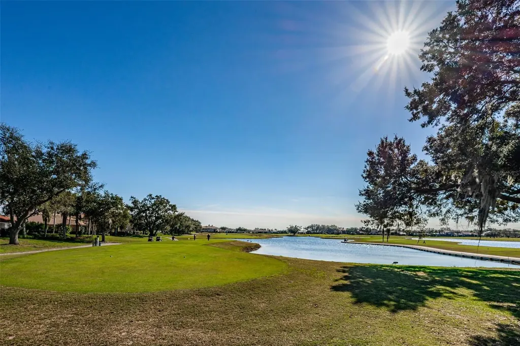 10610 Sabella Drive Trinity FL 34655