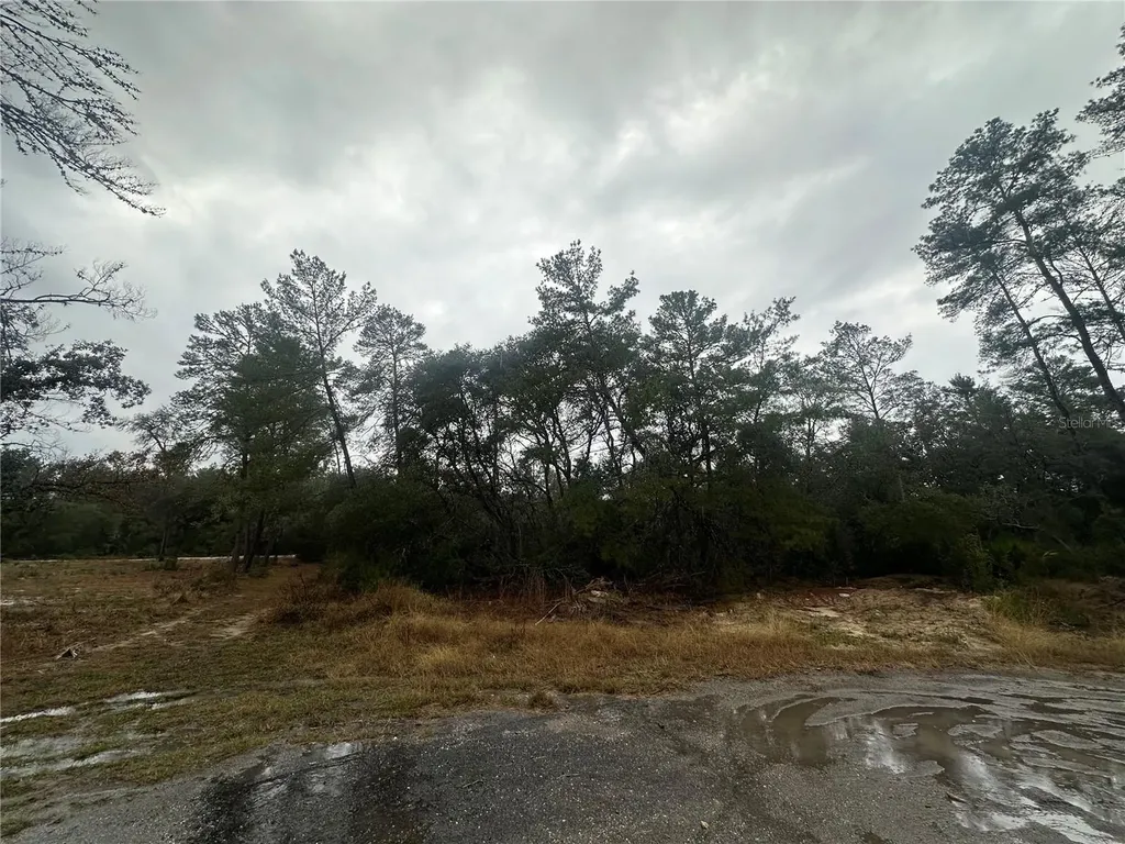 SW 35 Terrace Ocala FL 34473