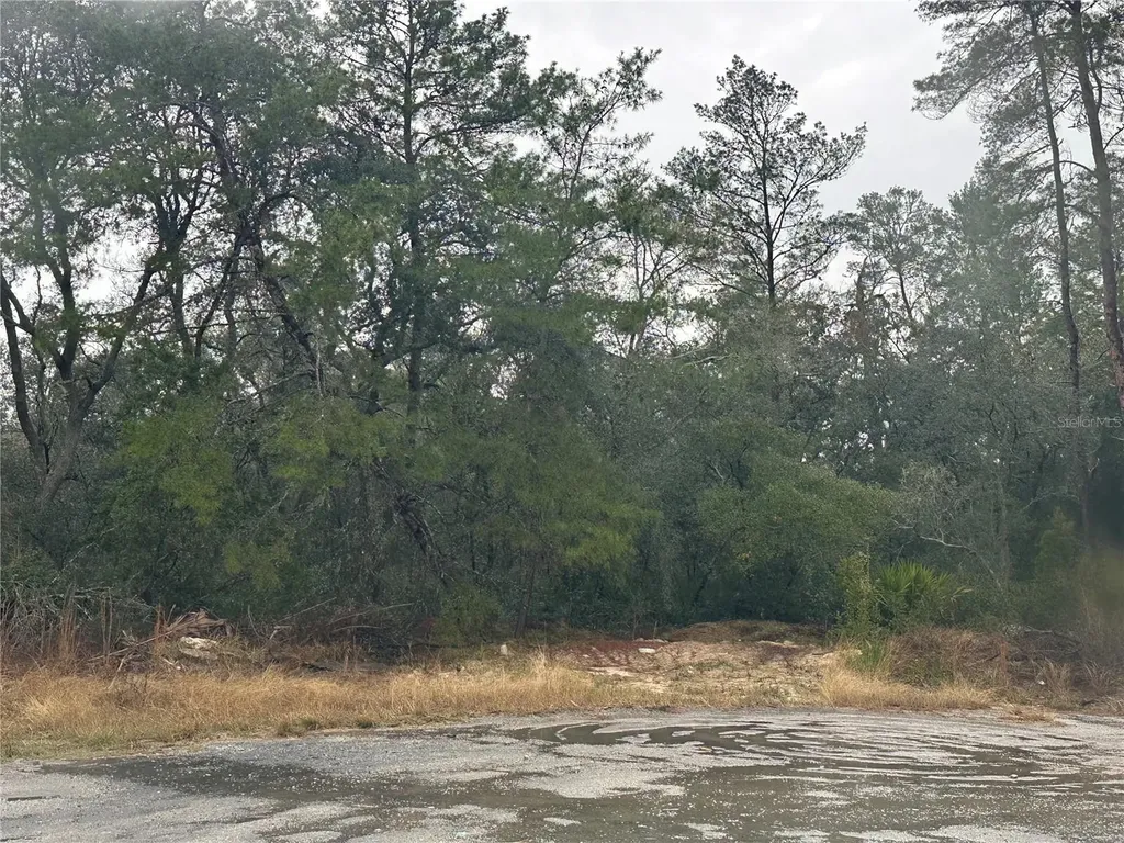 SW 35 Terrace Ocala FL 34473