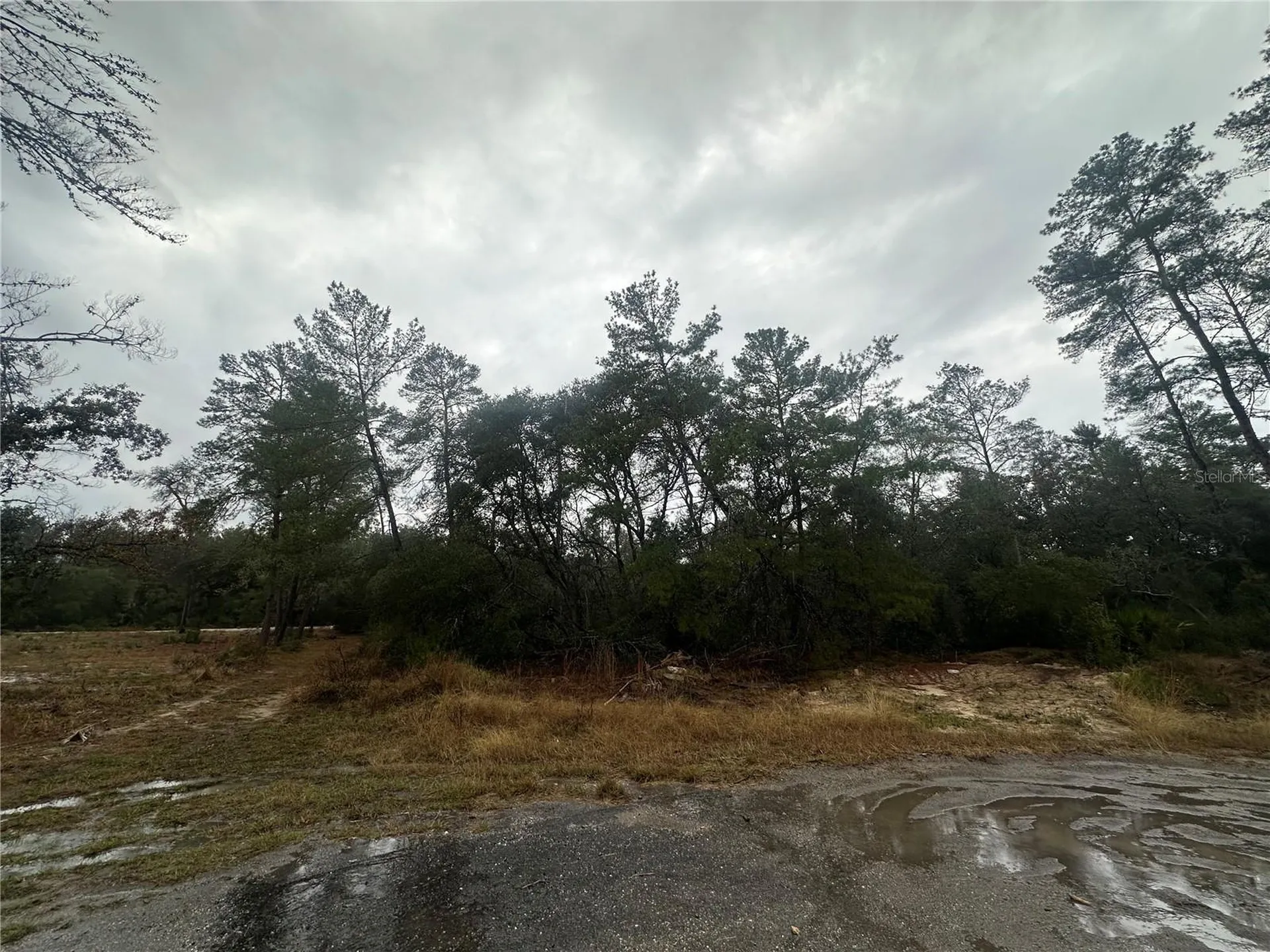SW 35 Terrace Ocala FL 34473