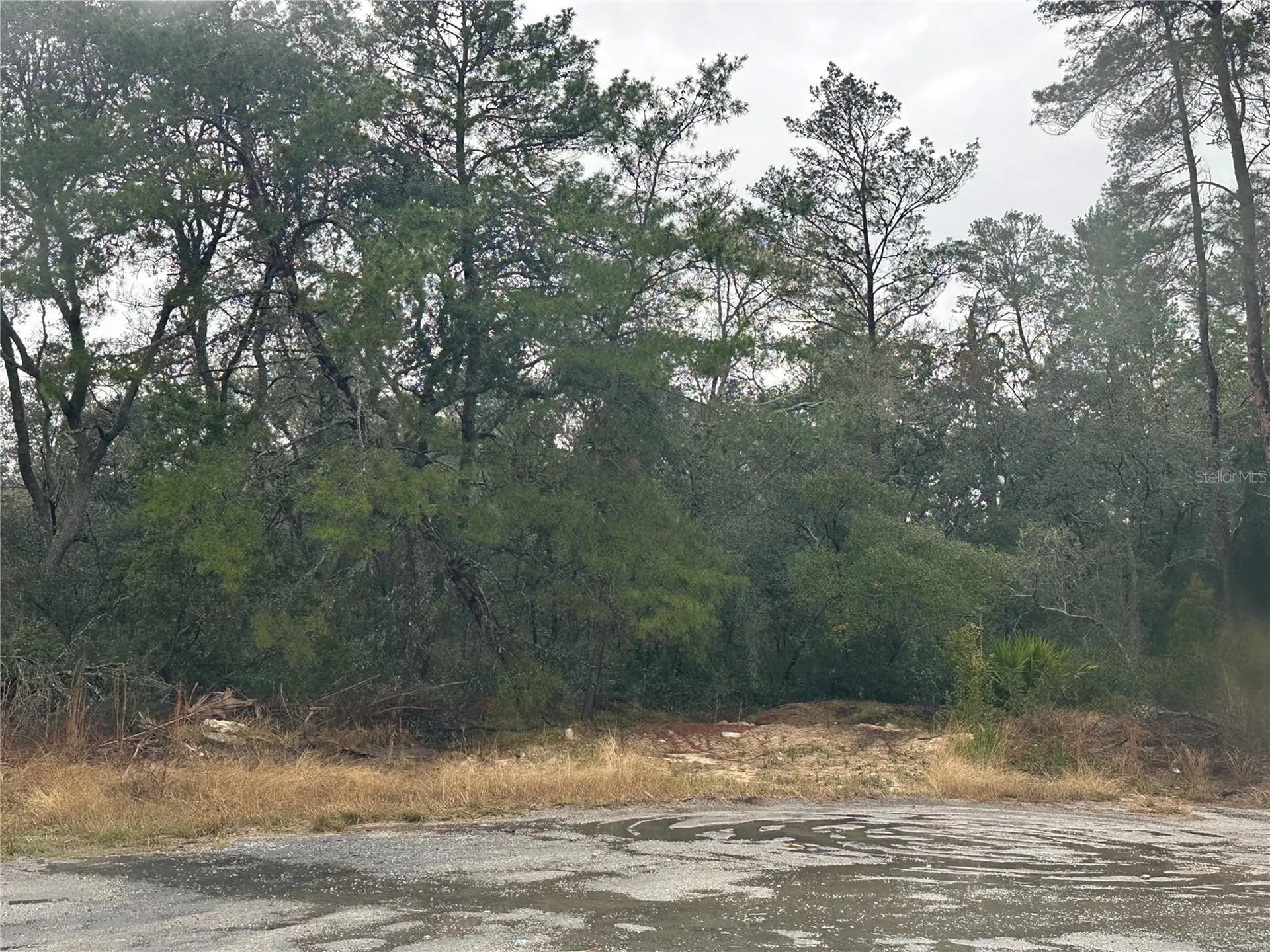 SW 35 Terrace Ocala FL 34473
