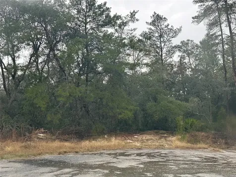 SW 35 Terrace Ocala FL 34473