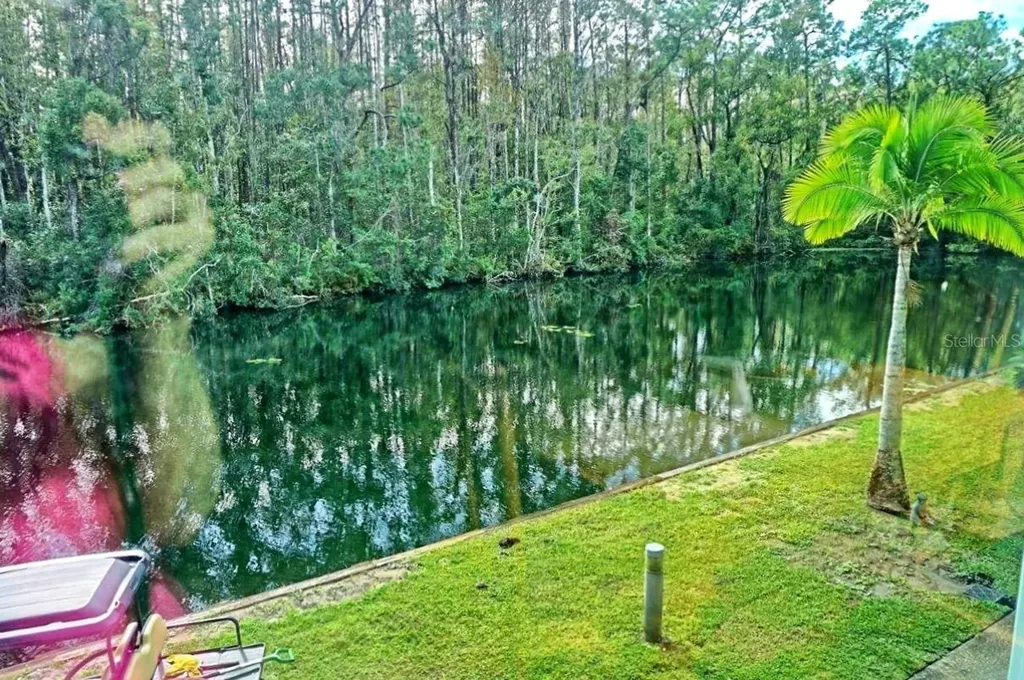 1859 Mazo Manor Lutz FL 33558