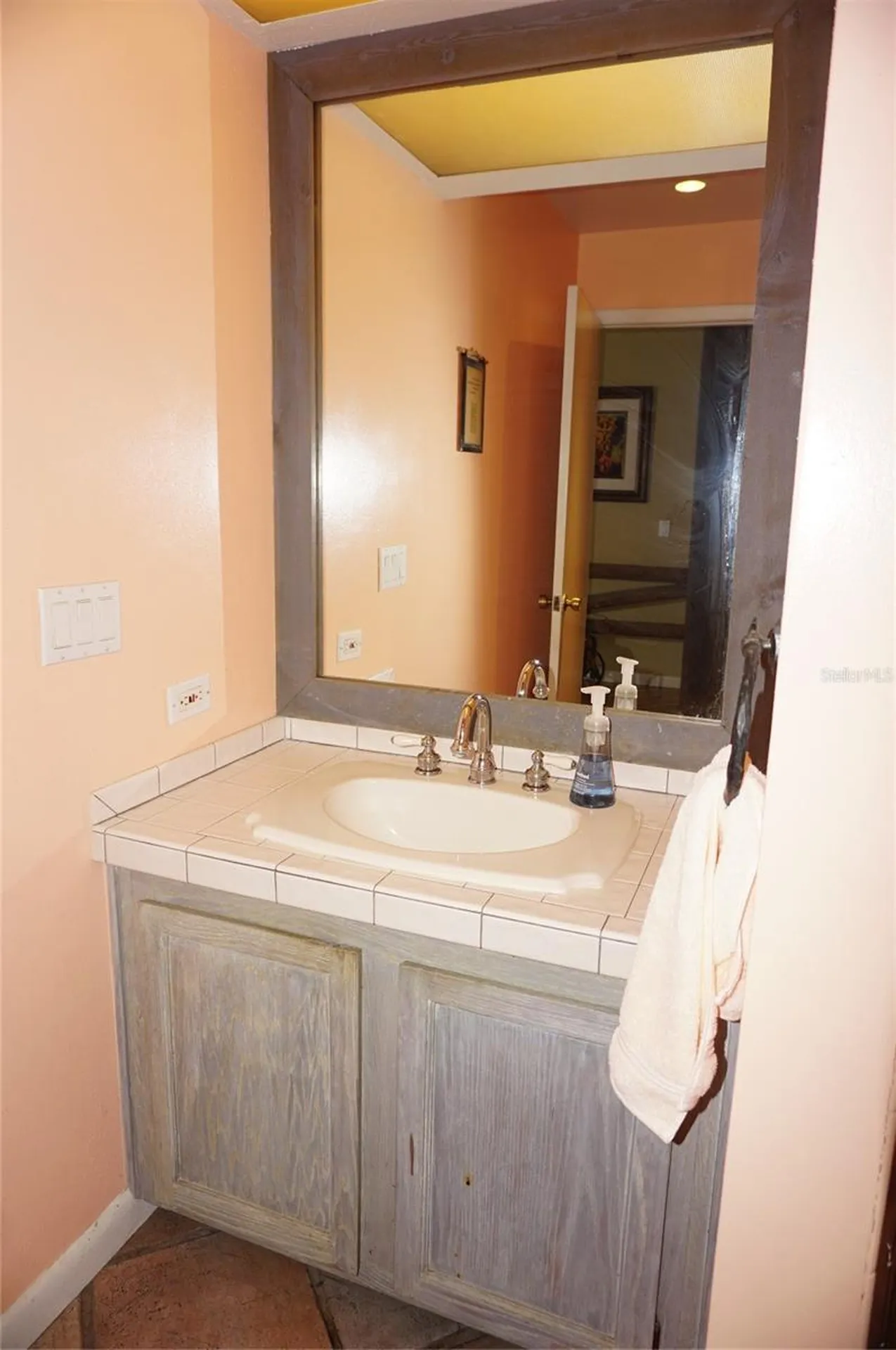1859 Mazo Manor Lutz FL 33558