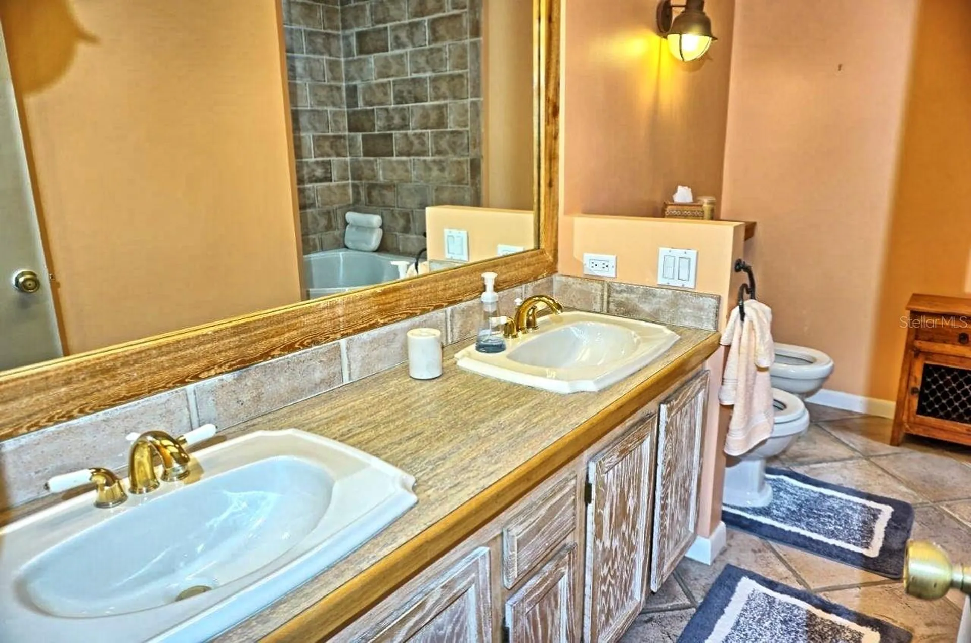 1859 Mazo Manor Lutz FL 33558