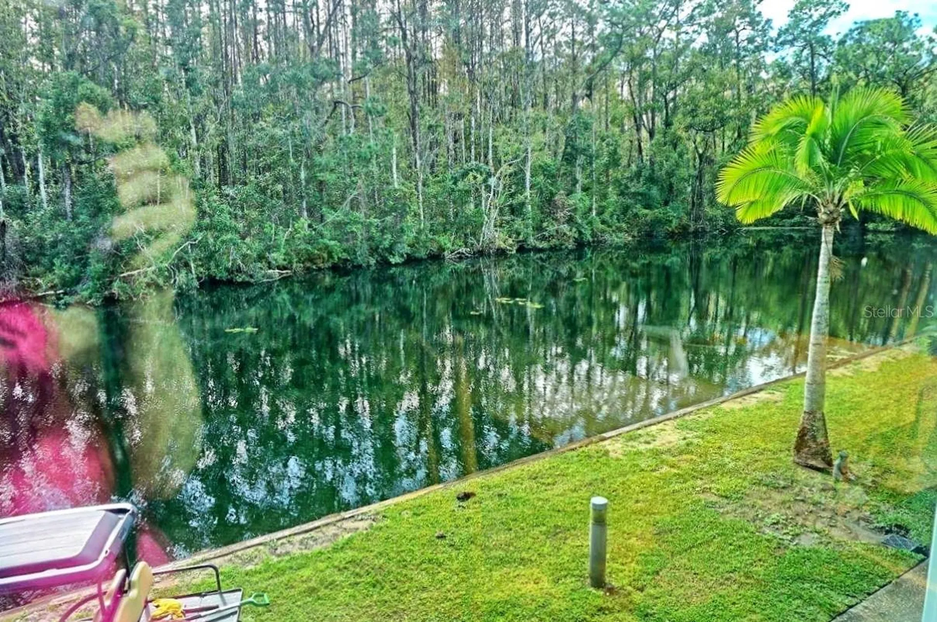 1859 Mazo Manor Lutz FL 33558