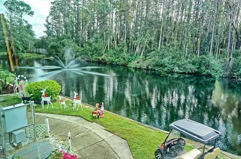 1859 Mazo Manor Lutz FL 33558