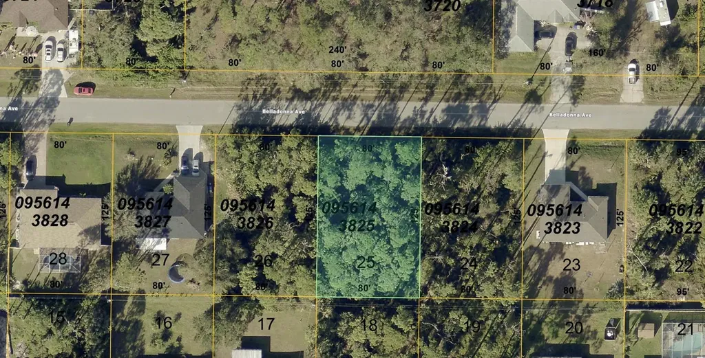 Belladonna Avenue North Port FL 34286