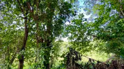 Carr 160 Km. Hm 10.6 Sect. La Gallera Bo Almirante Vega Baja PR 00693