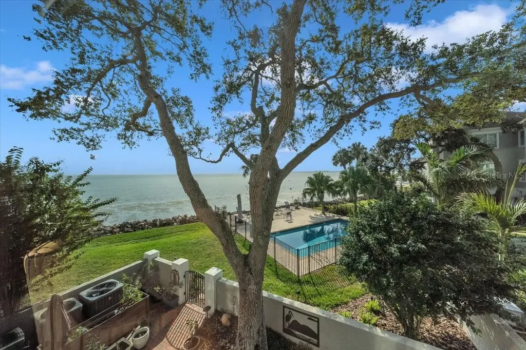 6212 Bayshore Boulevard Tampa FL 33611