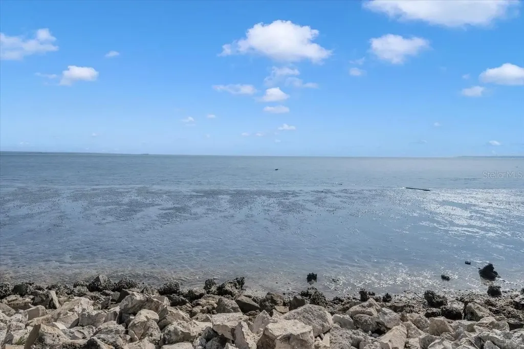 6212 Bayshore Boulevard Tampa FL 33611