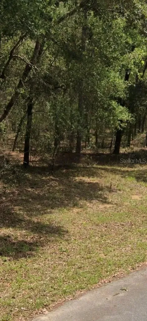 9231 N Sherman Drive Citrus Springs FL 34434