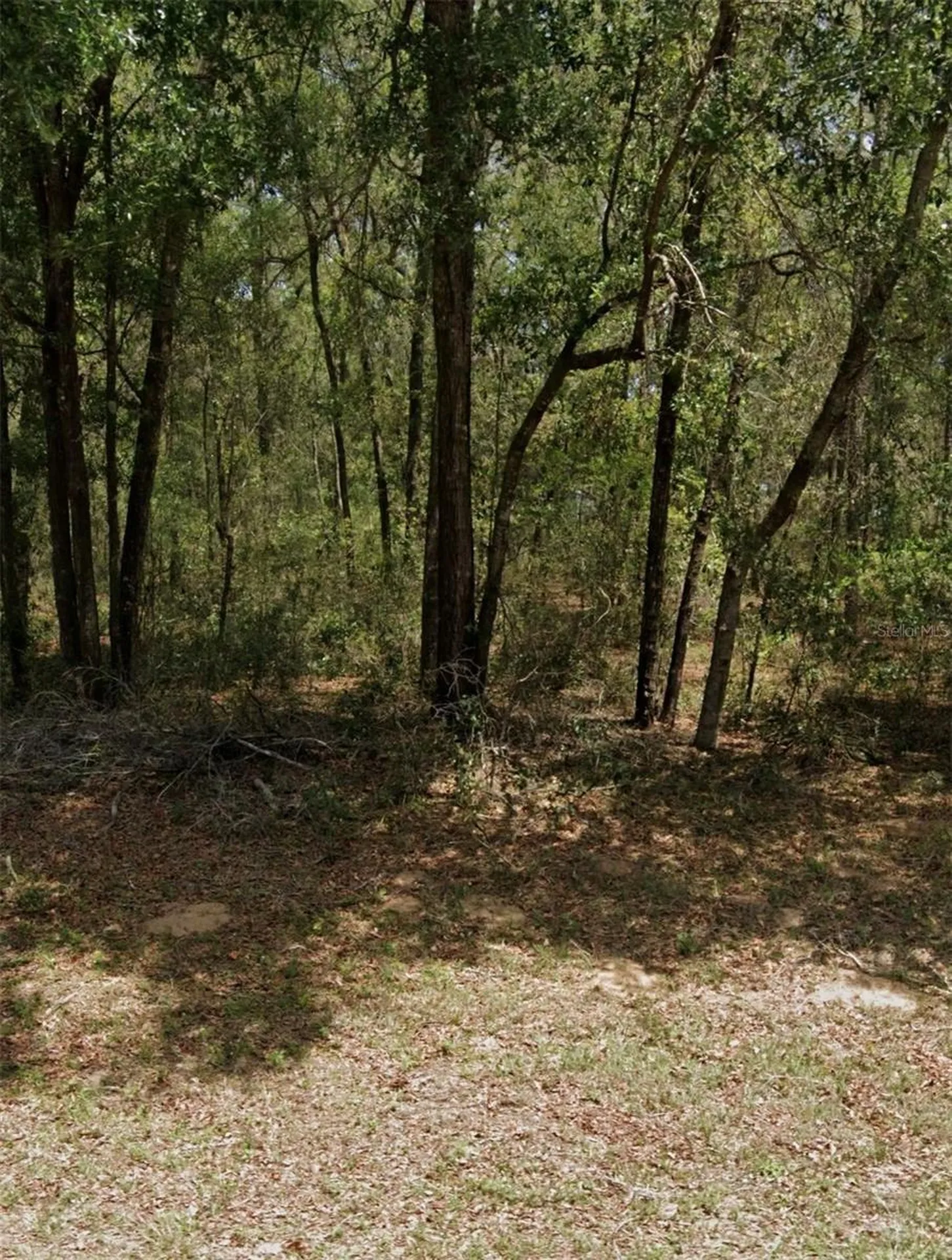 9231 N Sherman Drive Citrus Springs FL 34434
