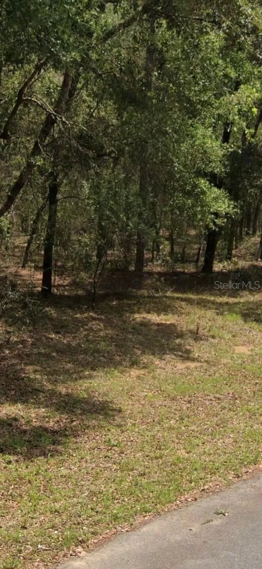 9231 N Sherman Drive Citrus Springs FL 34434