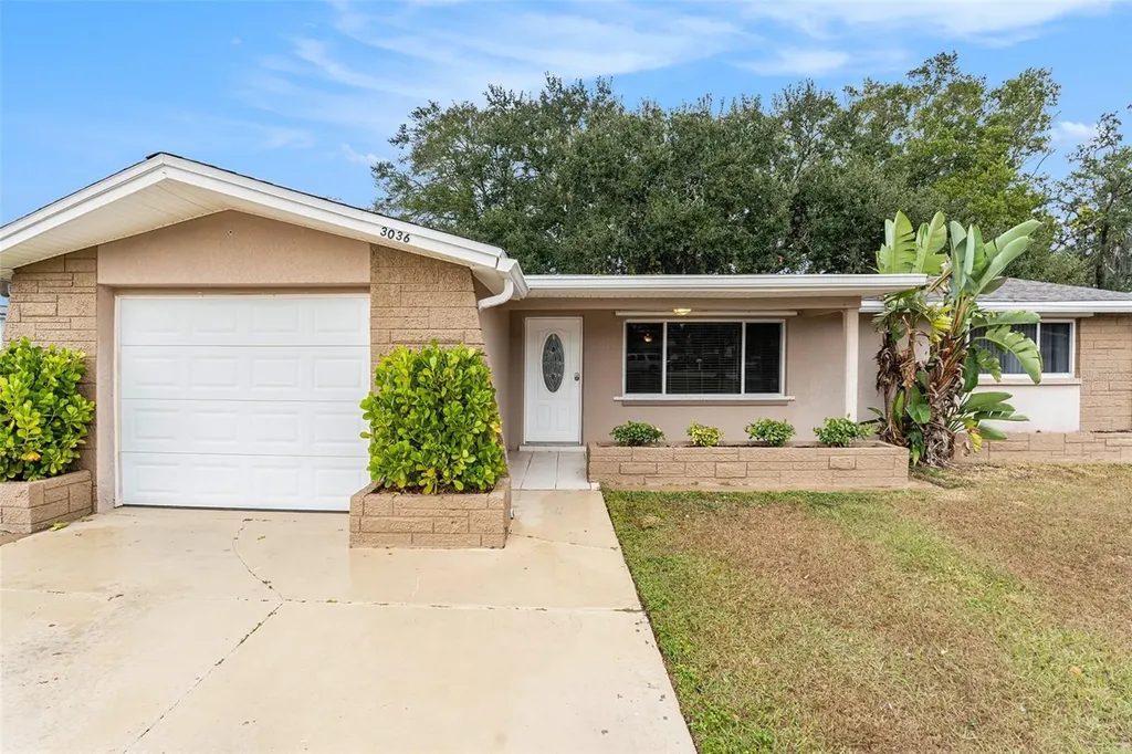 3036 Blue Bird Drive Holiday FL 34690