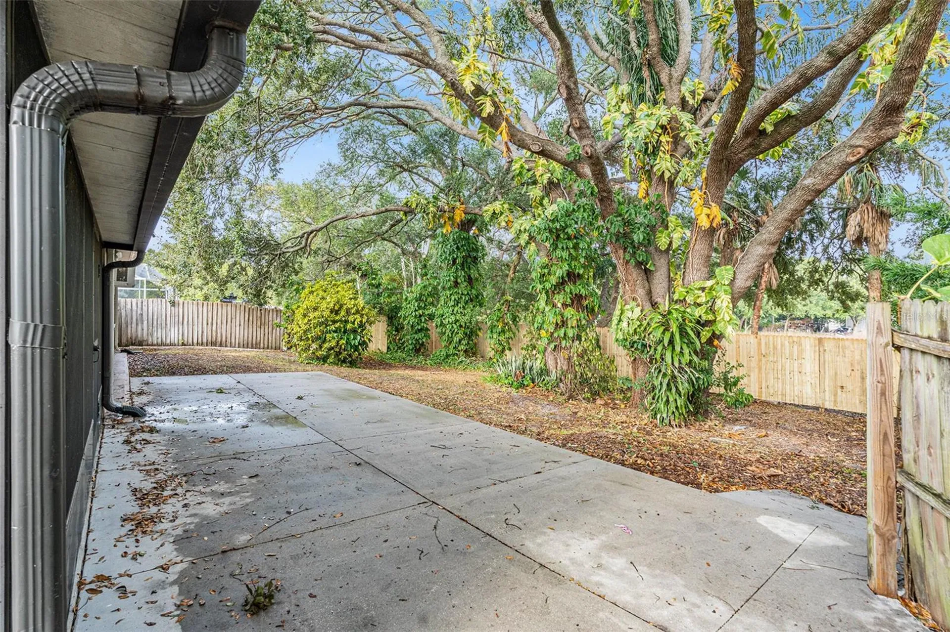 3036 Blue Bird Drive Holiday FL 34690