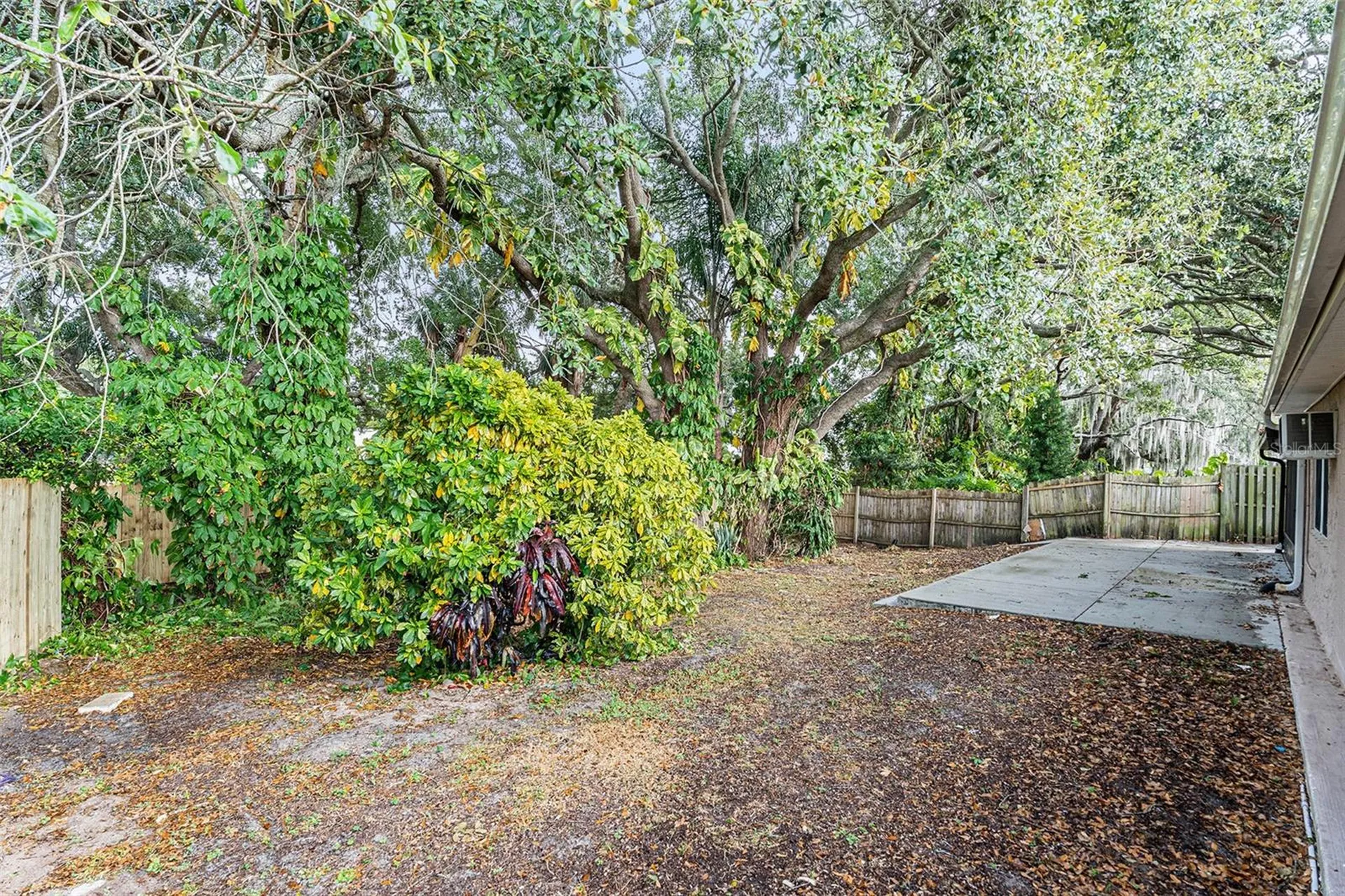 3036 Blue Bird Drive Holiday FL 34690