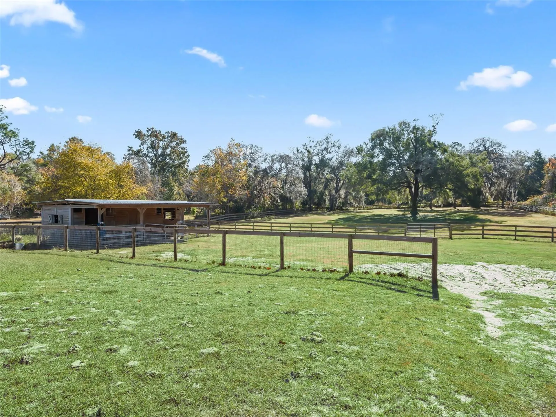 16634 SW 47th Place Road Ocala FL 34481