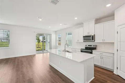 2154 Wildberry Way Minneola FL 34715