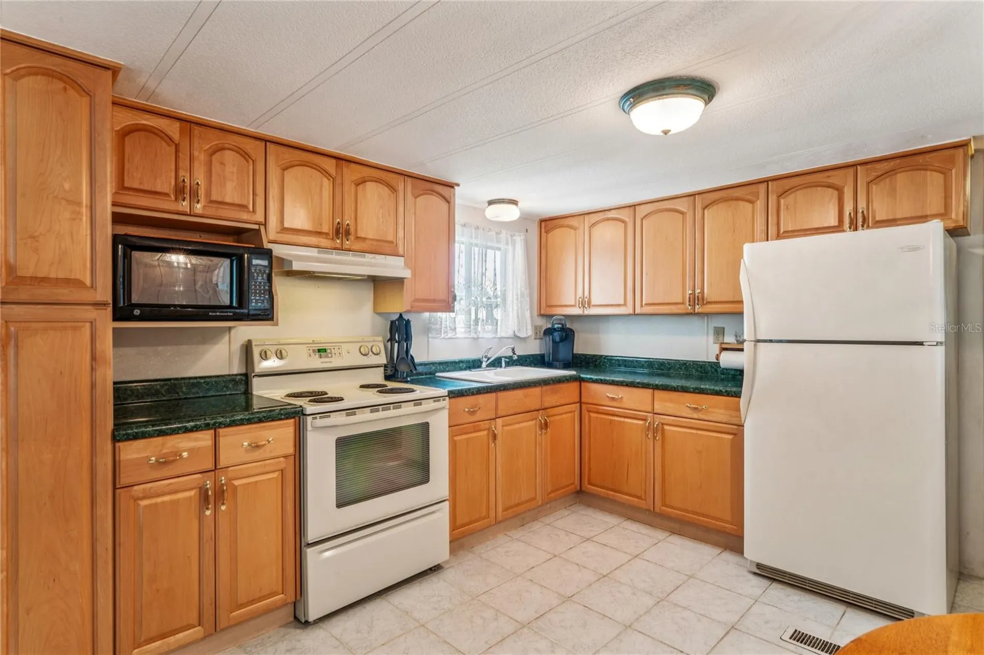 38536 Remora Avenue Zephyrhills FL 33542