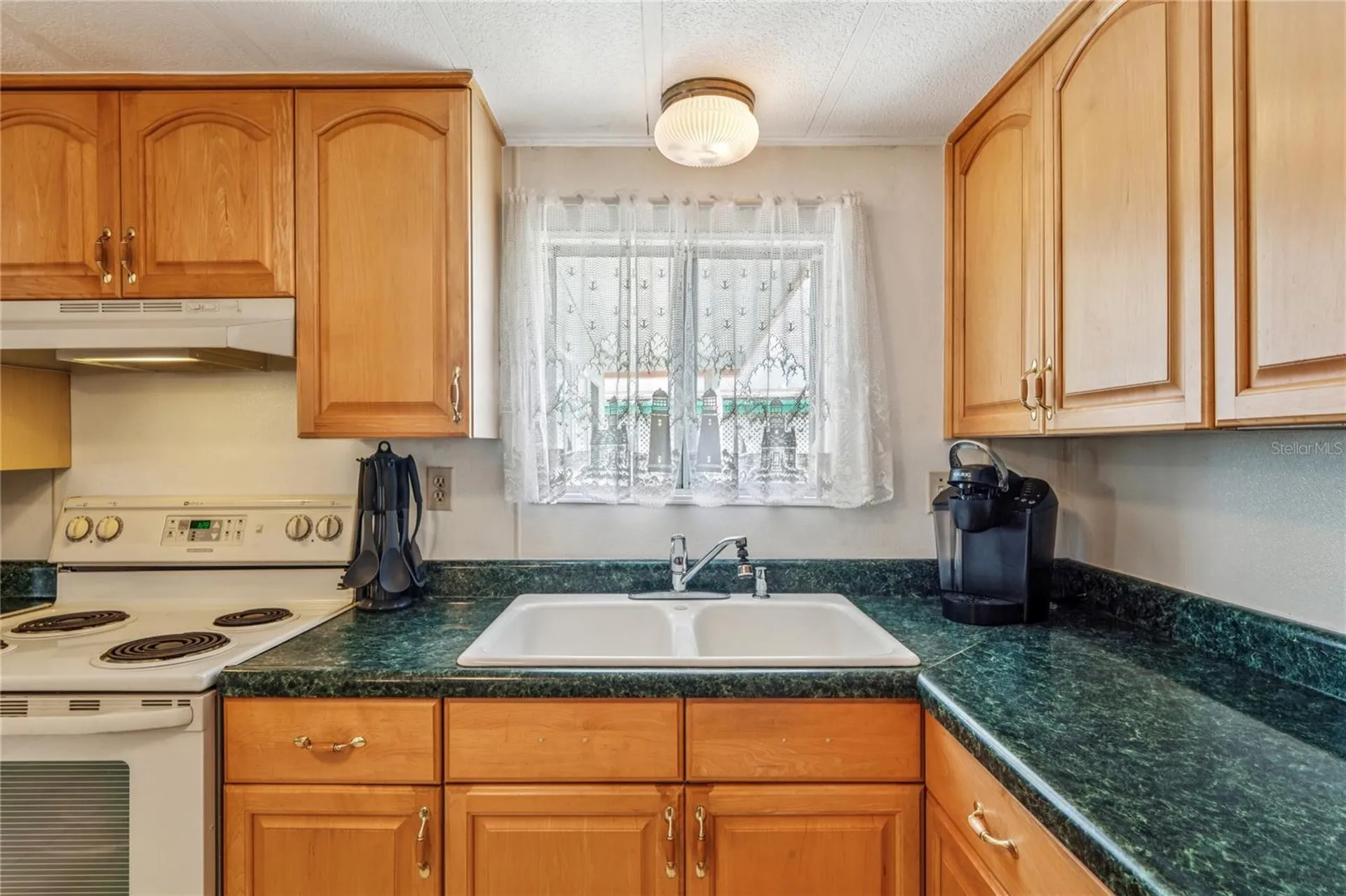 38536 Remora Avenue Zephyrhills FL 33542