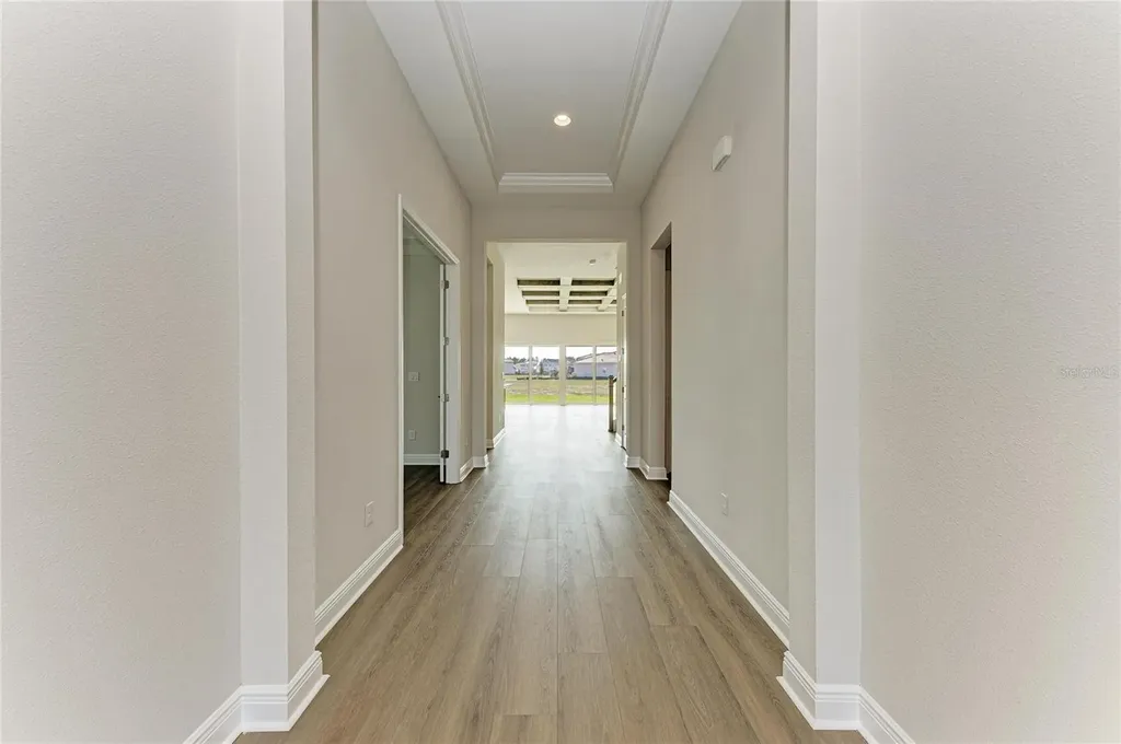 35564 Big Hawk Drive Zephyrhills FL 33541