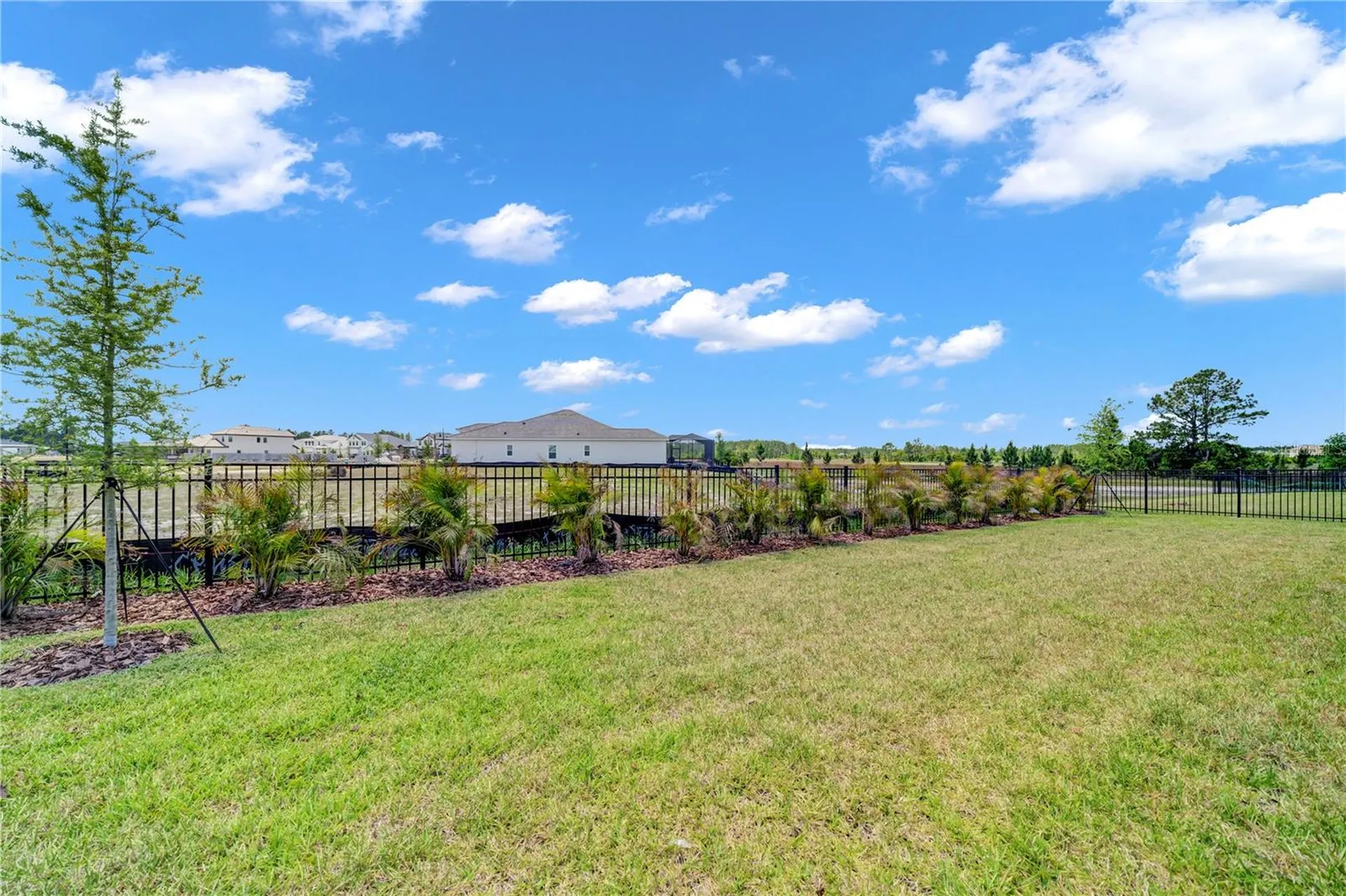 35564 Big Hawk Drive Zephyrhills FL 33541