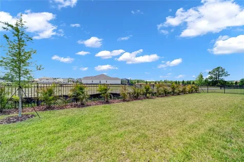 35564 Big Hawk Drive Zephyrhills FL 33541