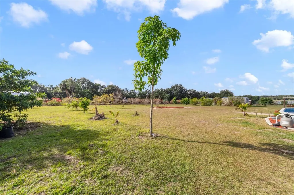 37041 N Thrill Hill Road Eustis FL 32736